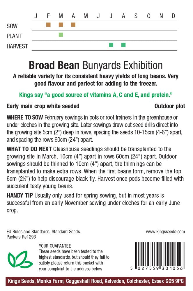 Broad Bean Bunyards Exhibition by Kings Seeds - Mill Race Garden Centre