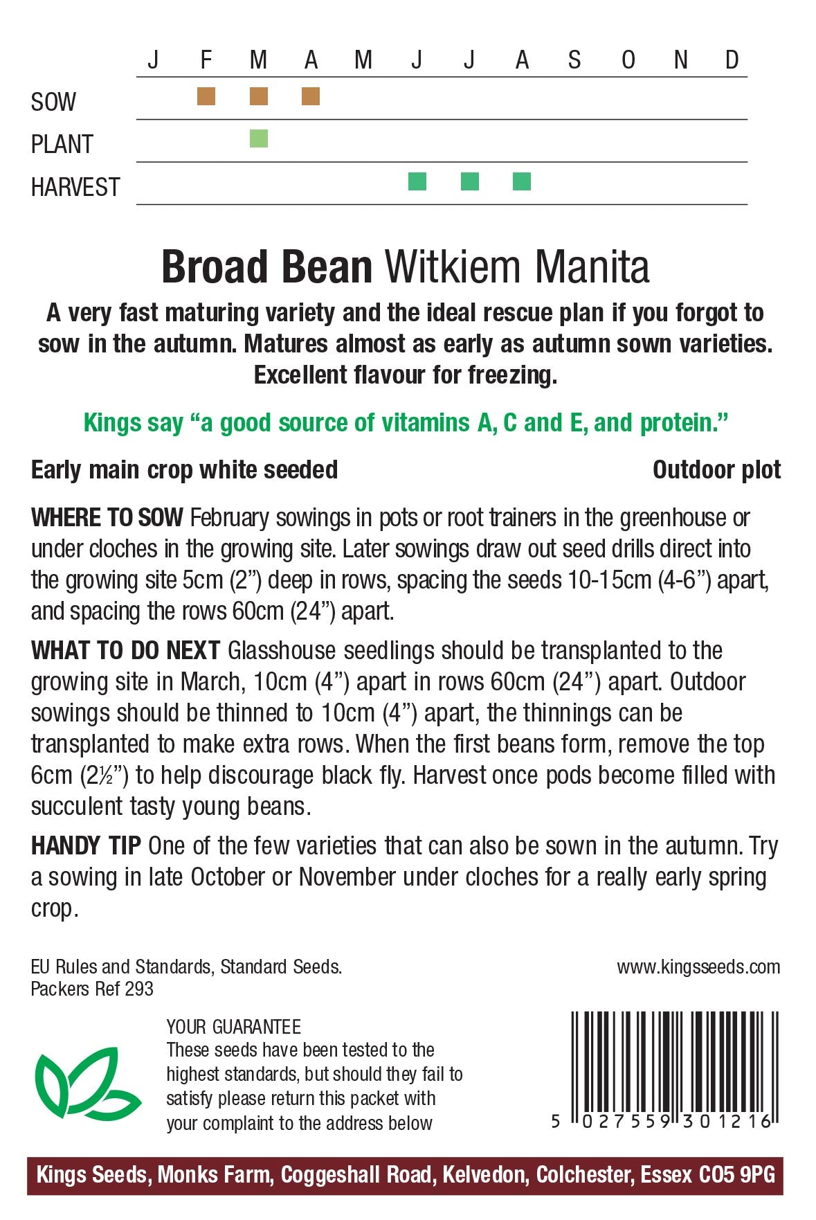 Broad Bean Seeds Witkiem Manita by Kings Seeds - Mill Race Garden Centre