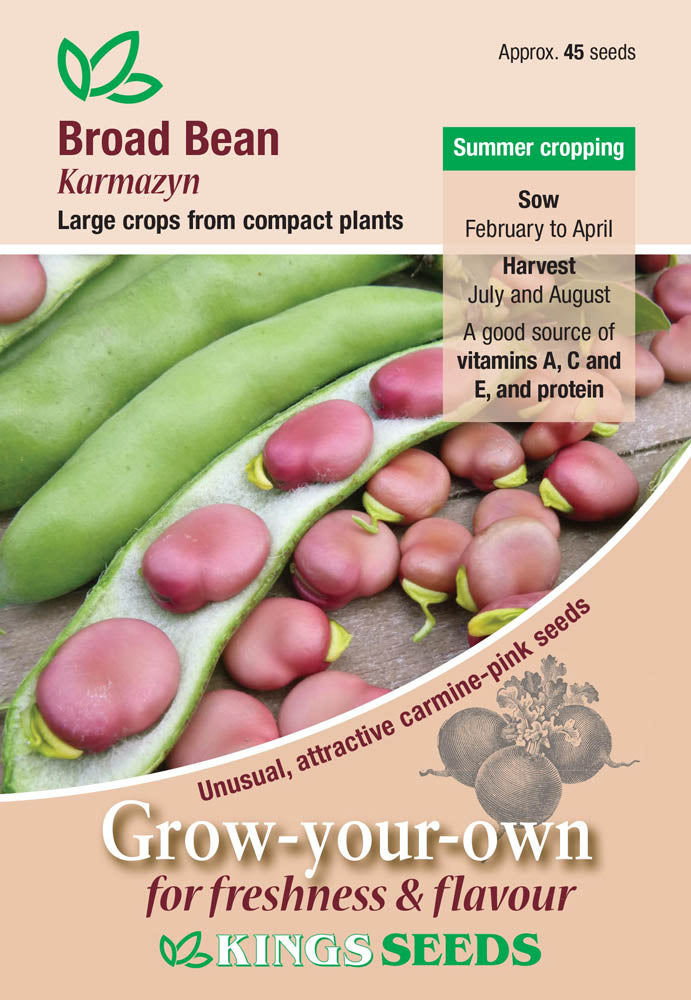 Broad Bean Karmazyn - Mill Race Garden Centre