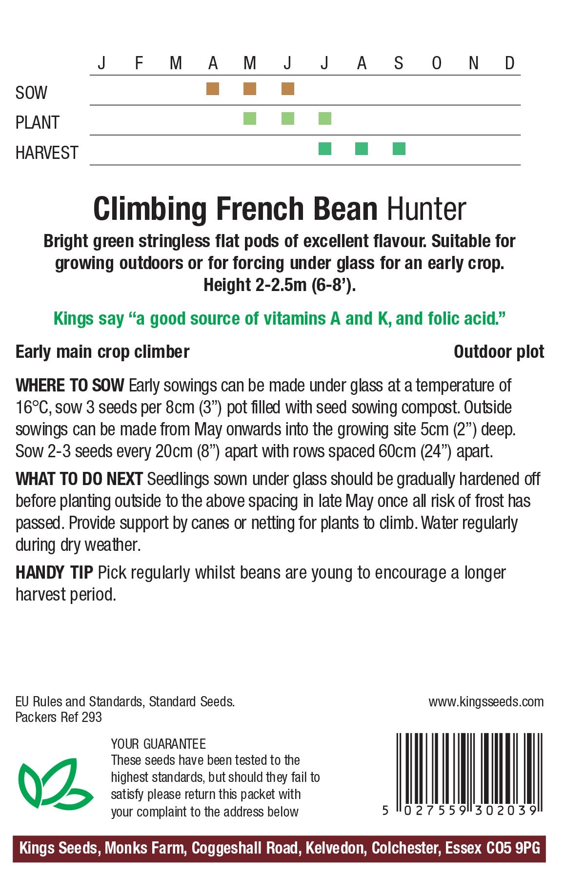 Climbing French Bean Hunter - Mill Race Garden Centre