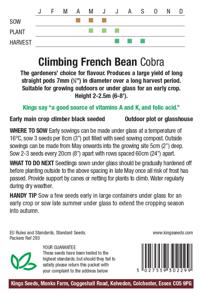 Organic Climbing French Bean Cobra Seeds - Mill Race Garden Centre