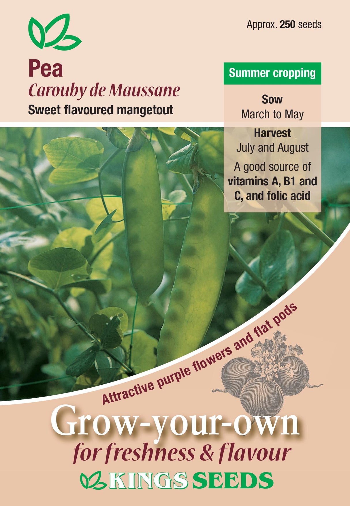 Pea Carouby De Maussane by Kings Seeds - Mill Race Garden Centre