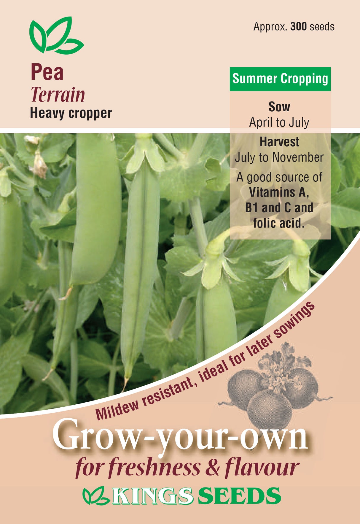 Pea Terrain - Mill Race Garden Centre