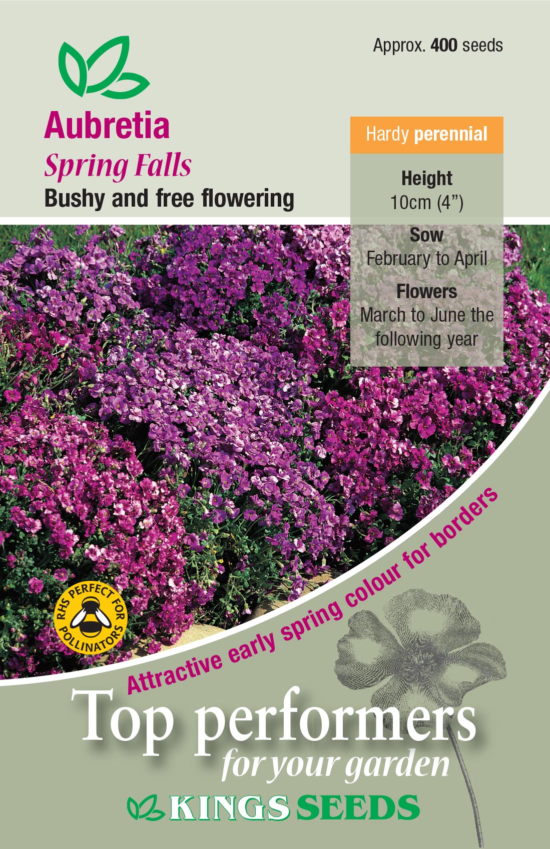 Aubrietia Spring Falls - Mill Race Garden Centre