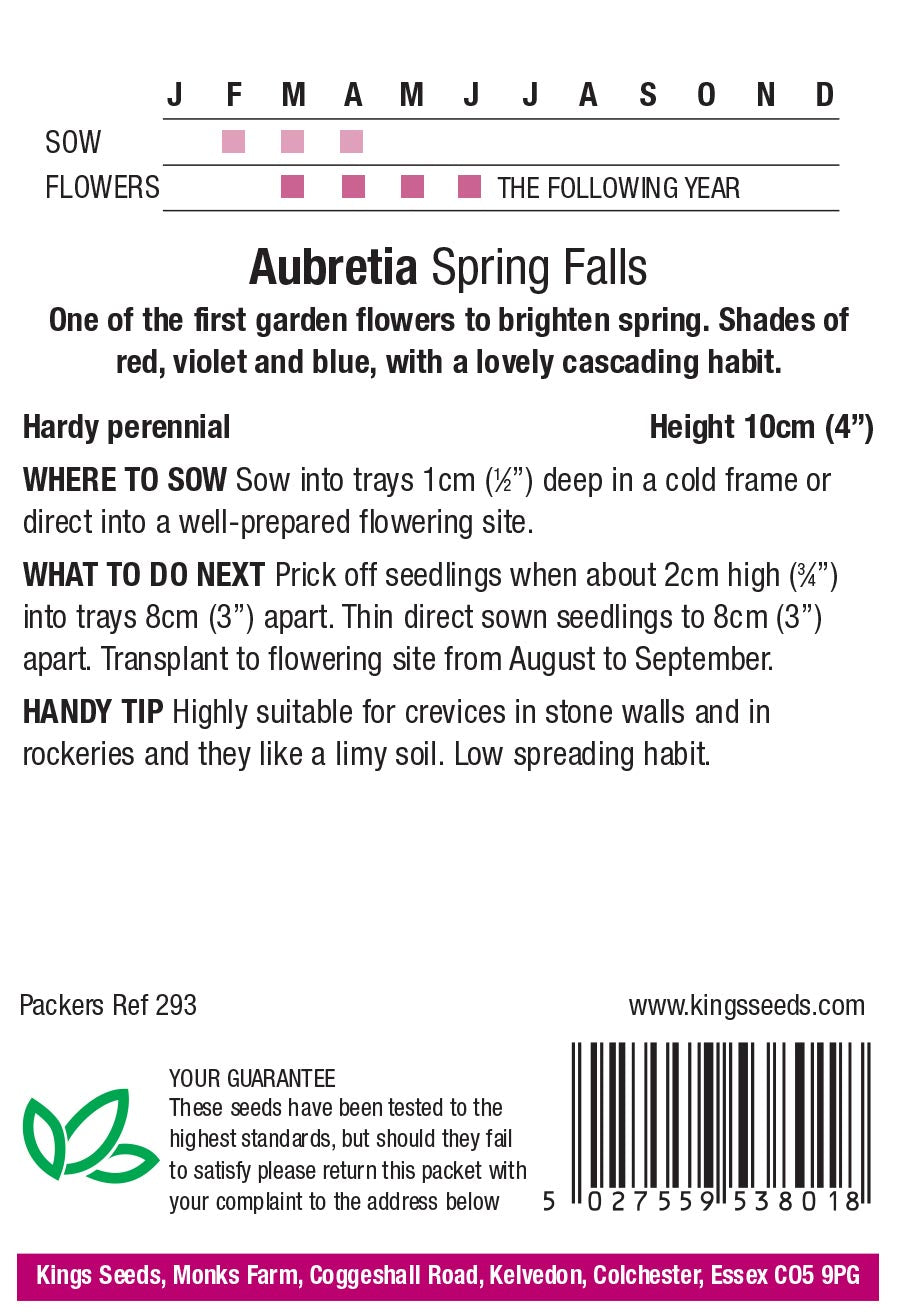 Aubrietia Spring Falls - Mill Race Garden Centre