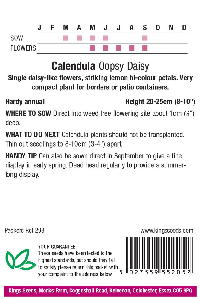 Calendula Oopsy Daisy by Kings Seeds - Mill Race Garden Centre