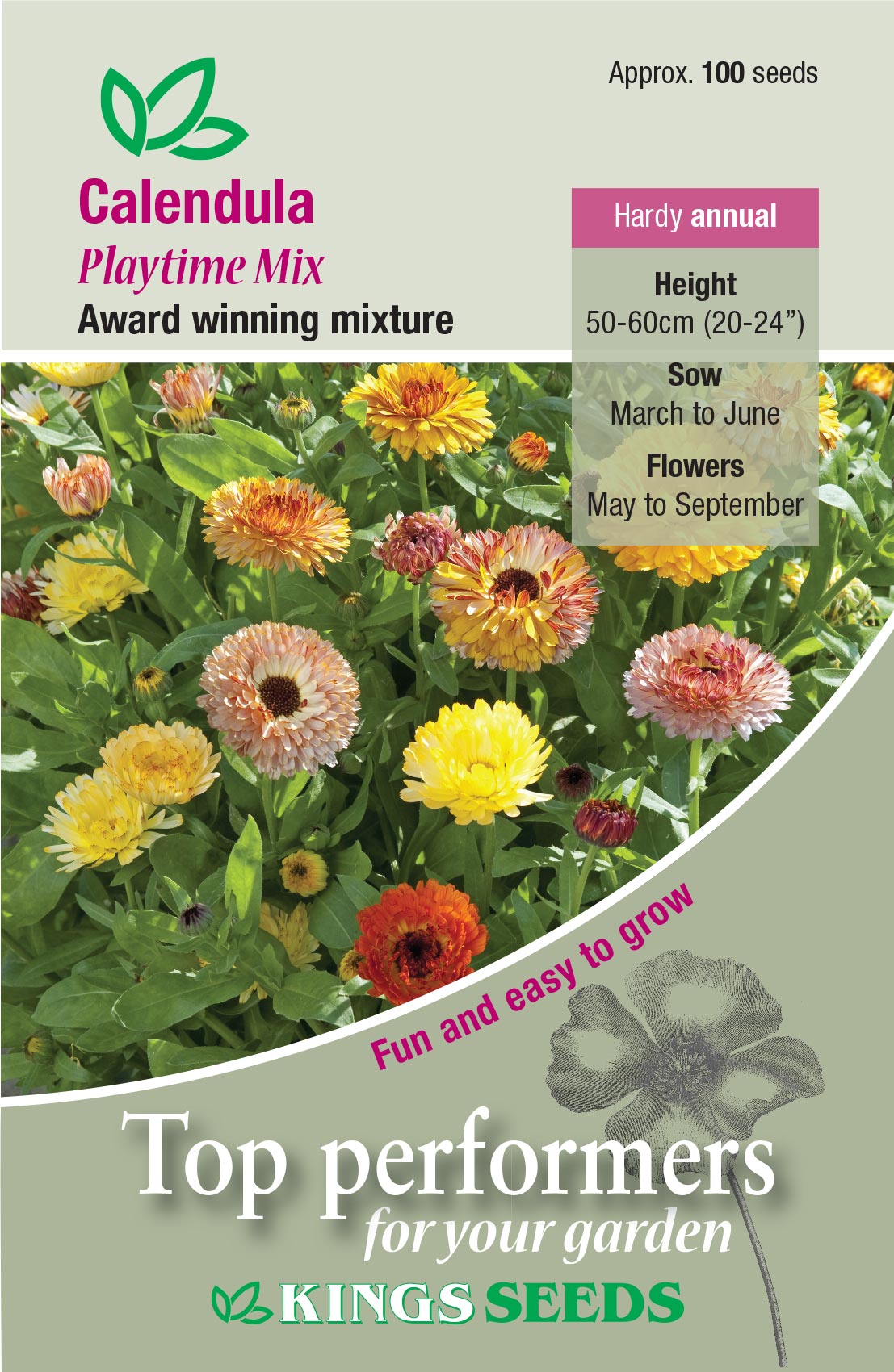 Calendula Playtime Mix by Kings Seeds - Mill Race Garden Centre