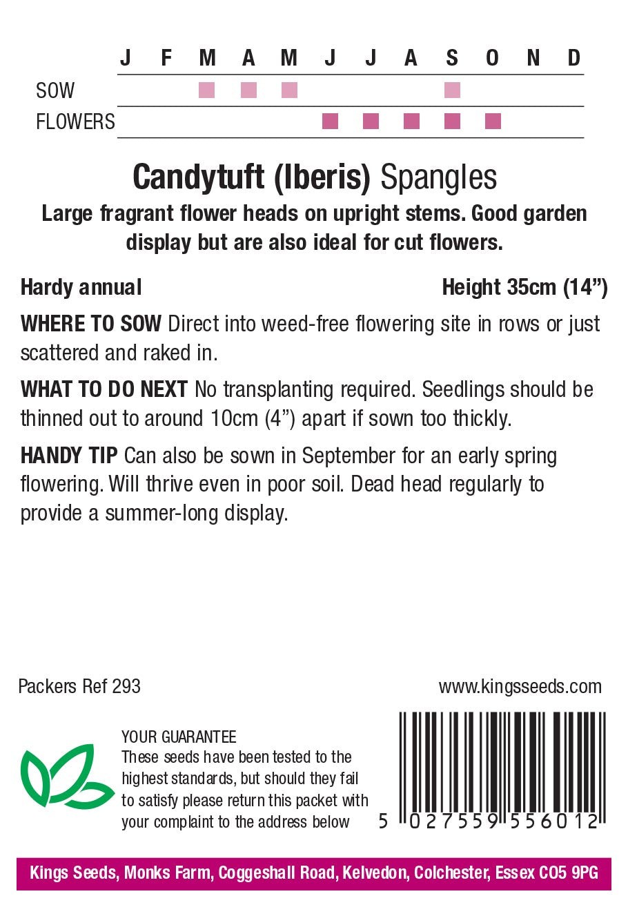 Candytuft Spangles by Kings Seeds - Mill Race Garden Centre