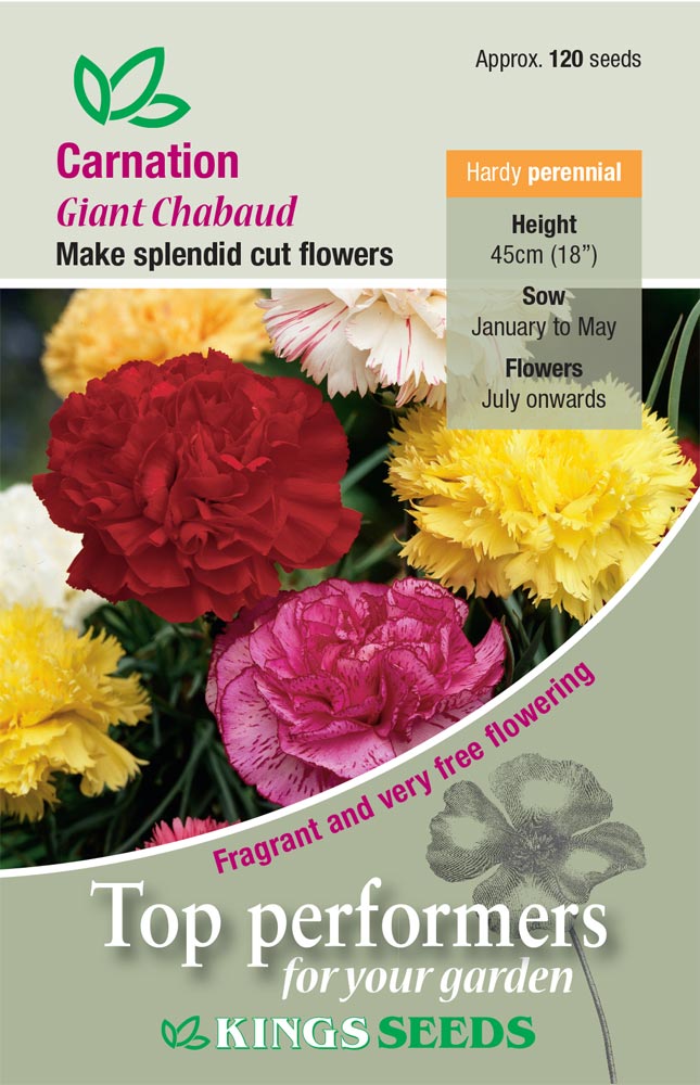 Carnation Giant Chabaud Mixed by Kings Seeds - Mill Race Garden Centre
