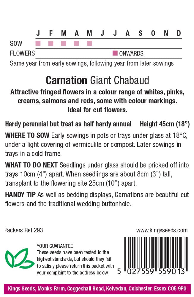 Carnation Giant Chabaud Mixed by Kings Seeds - Mill Race Garden Centre