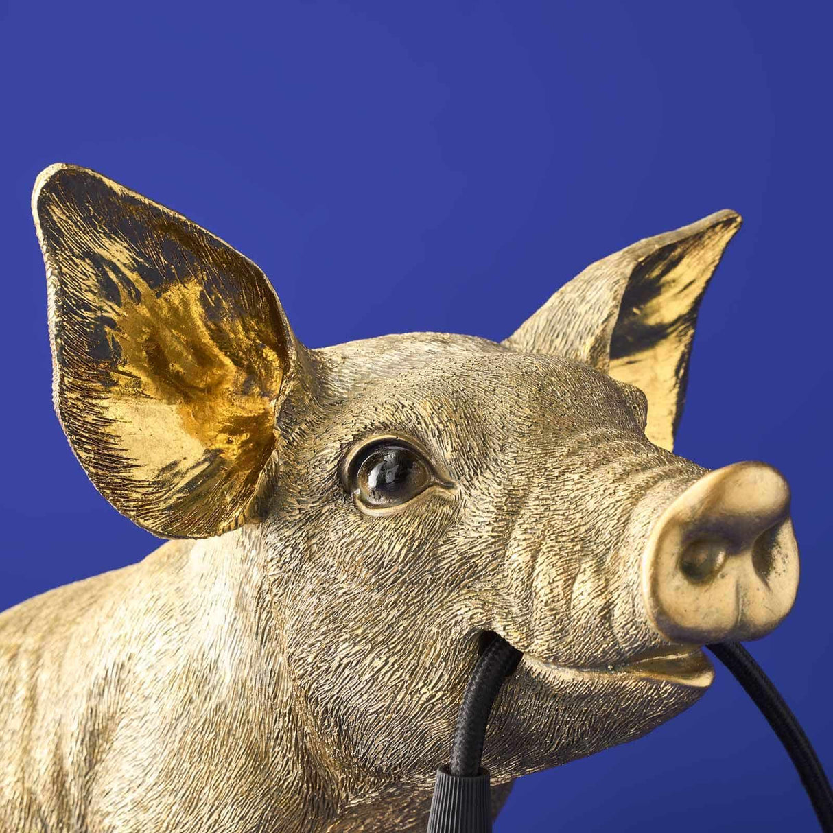 Gold WERNS® Piggy Pig table lamp by Werner Vob, featuring a luxurious designer pig shape for stylish indoor lighting.