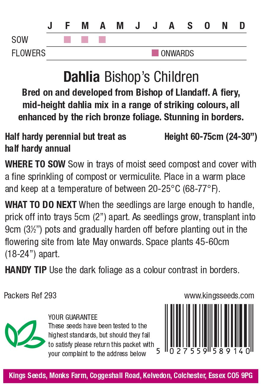 Dahlia Bishops Children - Mill Race Garden Centre