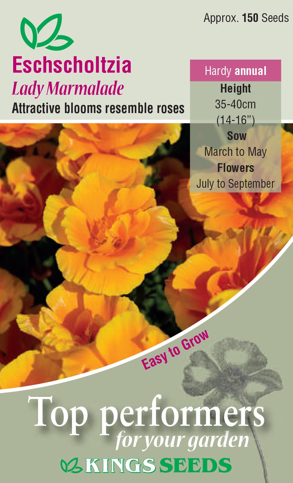 Eschscholzia Lady Marmalade by Kings Seeds - Mill Race Garden Centre