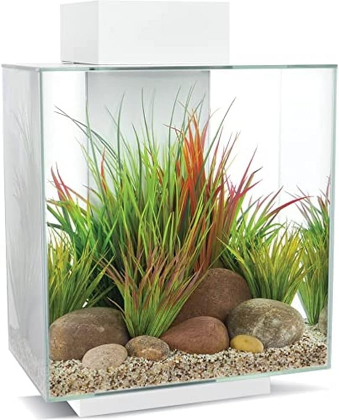 Fluval Edge White Aquarium Kit 46L - Mill Race Garden Centre