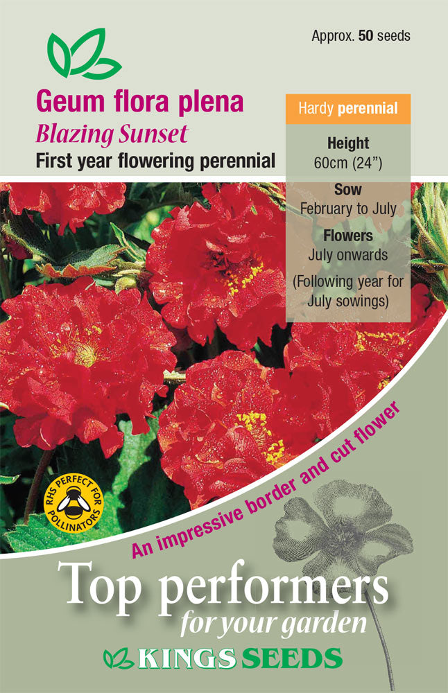 Geum Flora Plena Blazing Sunset - Mill Race Garden Centre