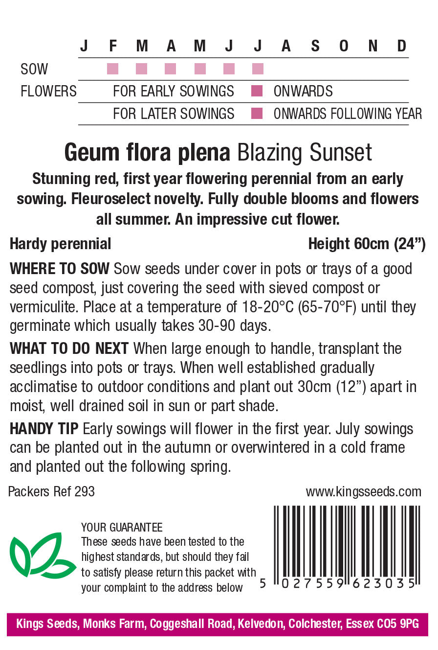 Geum Flora Plena Blazing Sunset - Mill Race Garden Centre