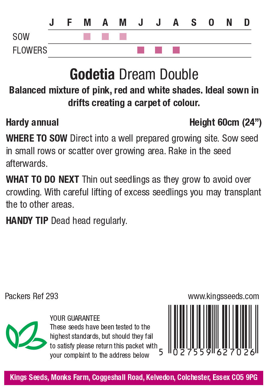 Godetia Dream Double Mixed by Kings Seeds - Mill Race Garden Centre