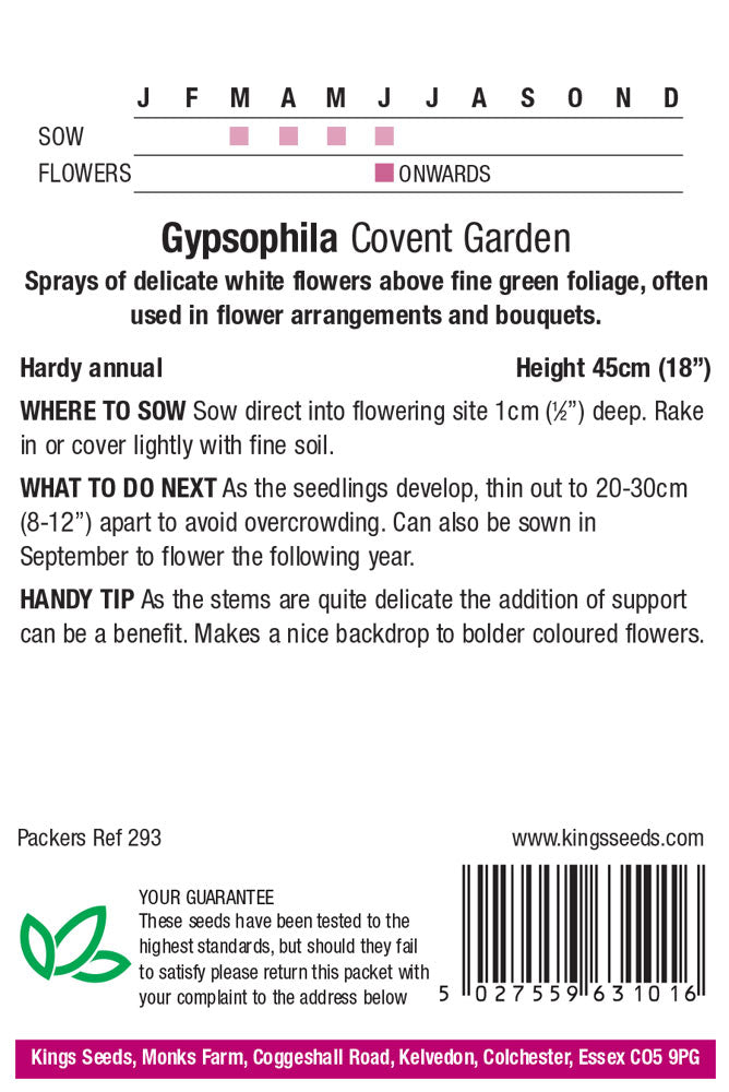 Gypsophila Muralis Covent Garden by Kings Seeds - Mill Race Garden Centre