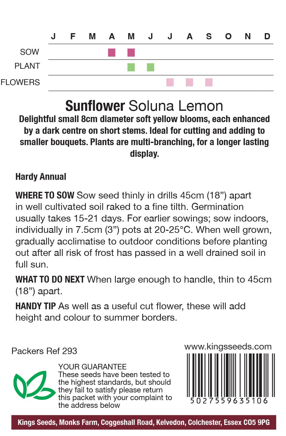 Sunflower Soluna Lemon by Kings Seeds - Mill Race Garden Centre