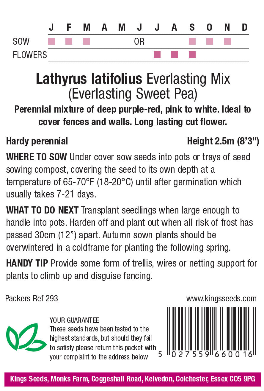 Lathyrus Latifolius Everlasting Mix by Kings Seeds - Mill Race Garden Centre