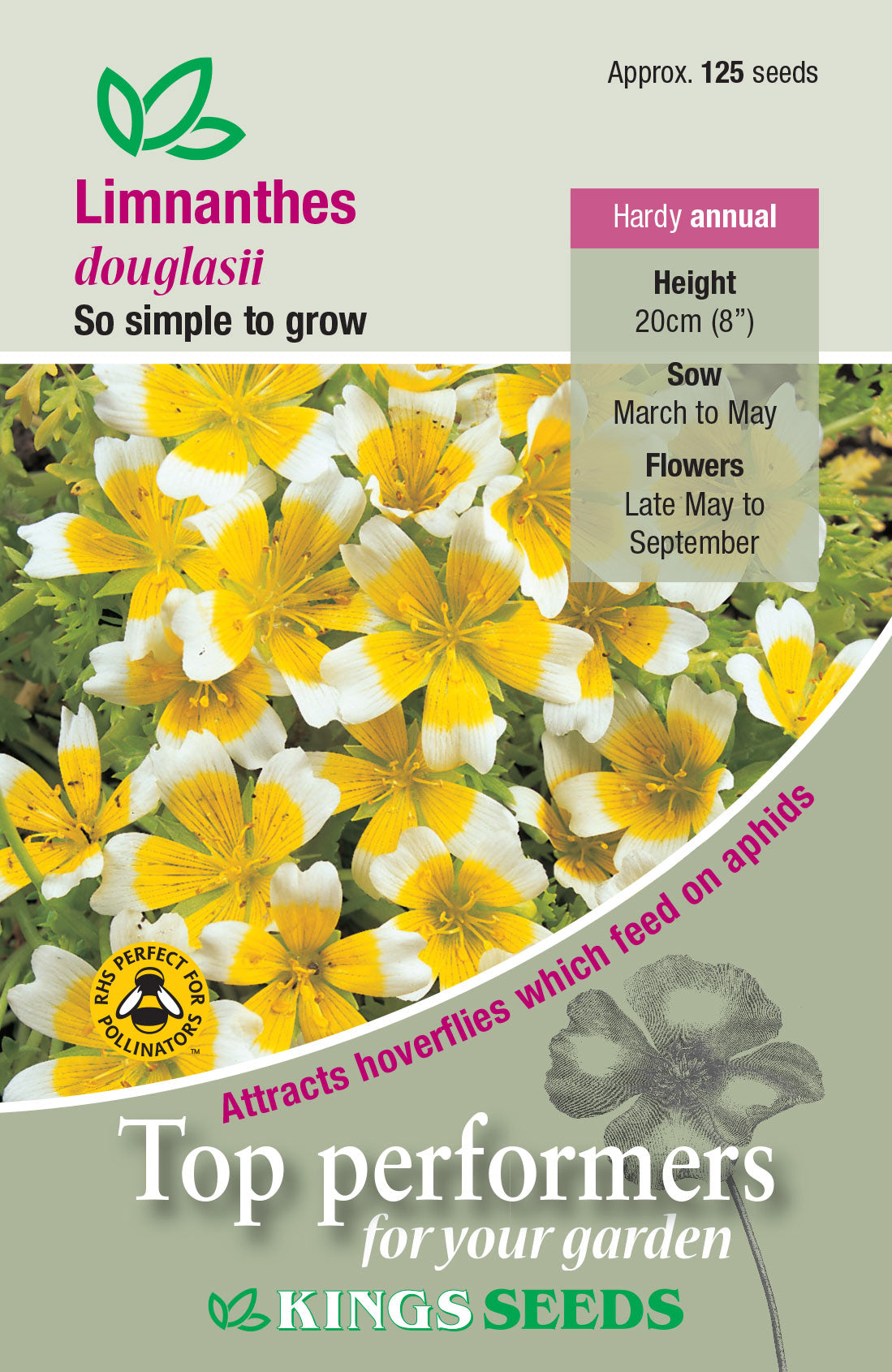 Limnanthes Douglasii by Kings Seeds - Mill Race Garden Centre
