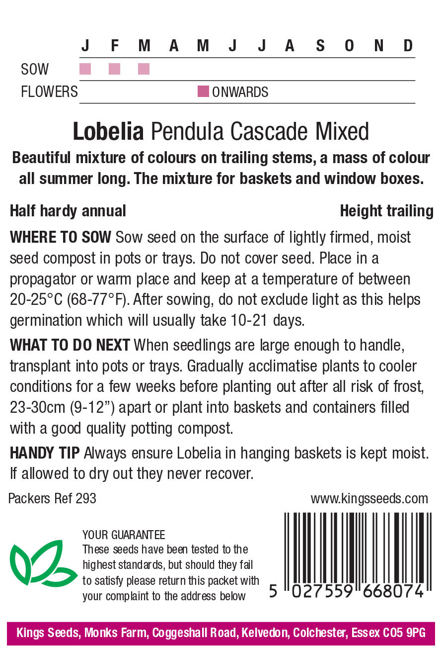 Lobelia Pendula Cascade Mixed by Kings Seeds - Mill Race Garden Centre