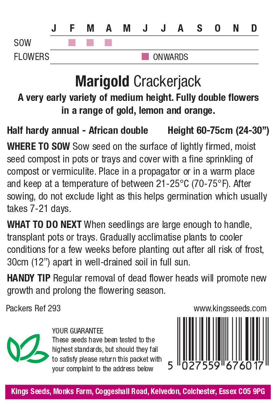 Marigold African Crackerjack by Kings Seeds - Mill Race Garden Centre