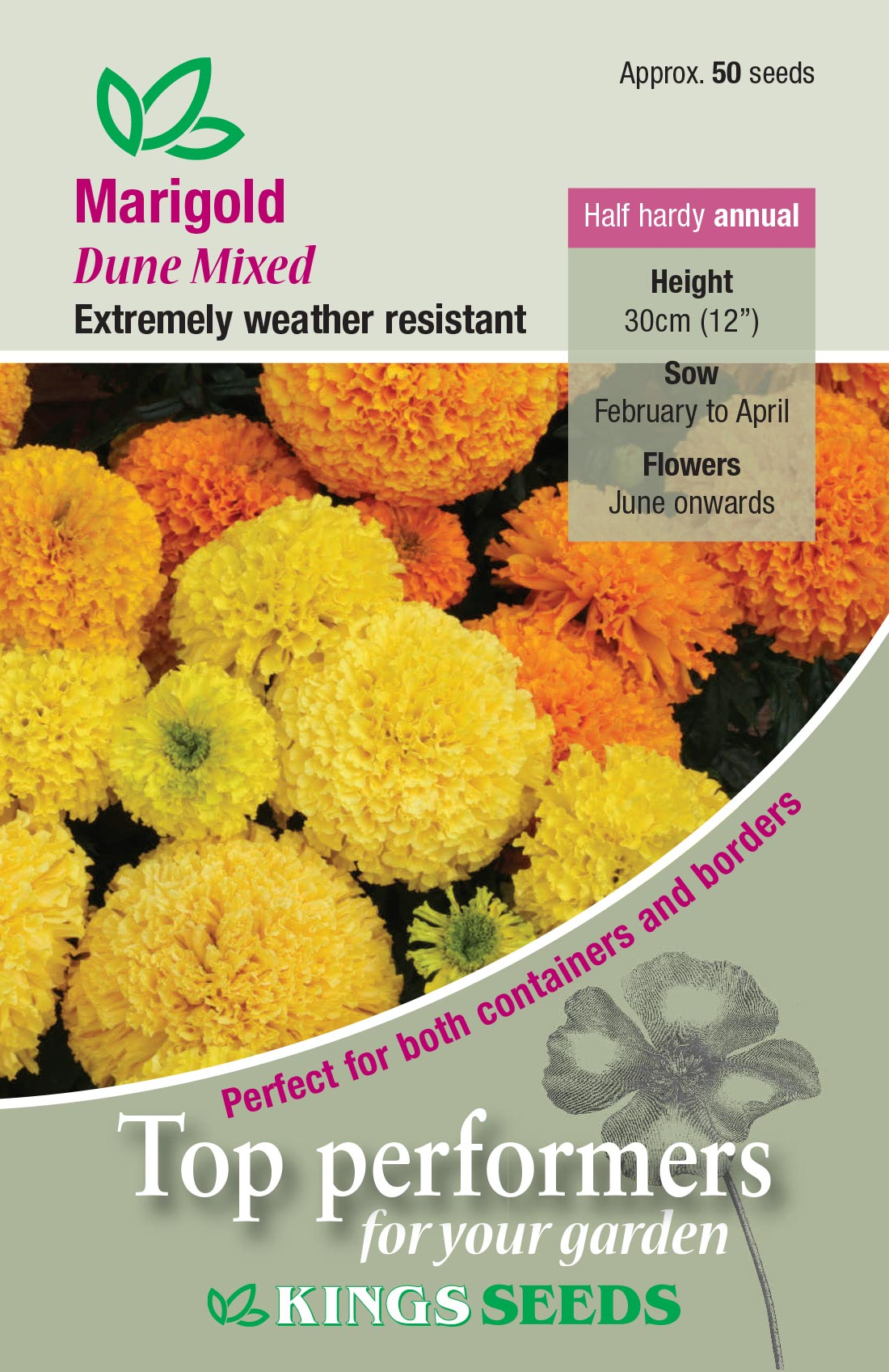 Inca Mixed F1 African Marigold Seeds - Mill Race Garden Centre