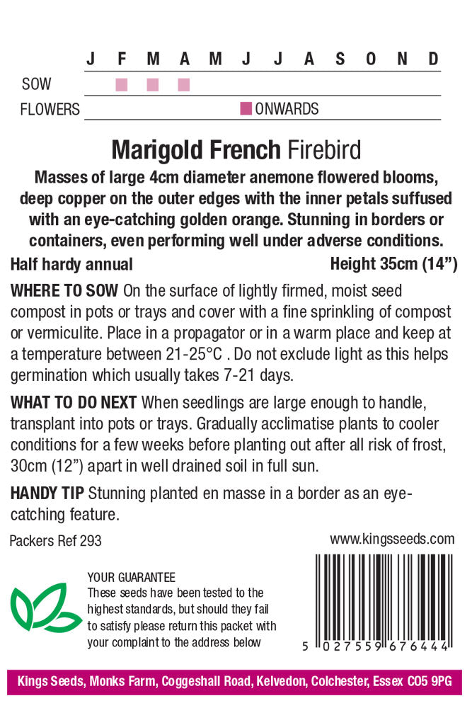 MARIGOLD FRENCH FIREBIRD - Mill Race Garden Centre