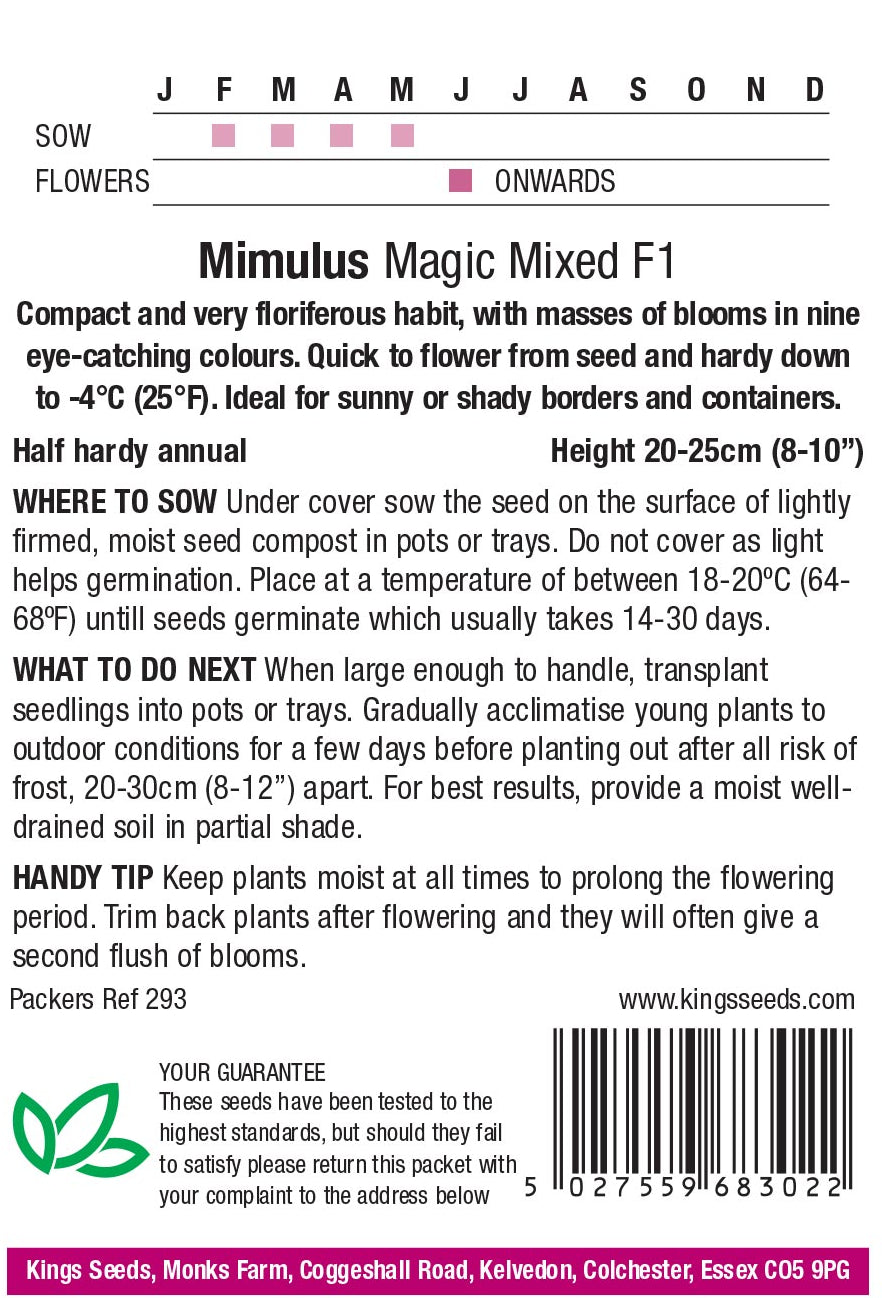 Mimulus Magic Mixed F1 by Kings Seeds - Mill Race Garden Centre