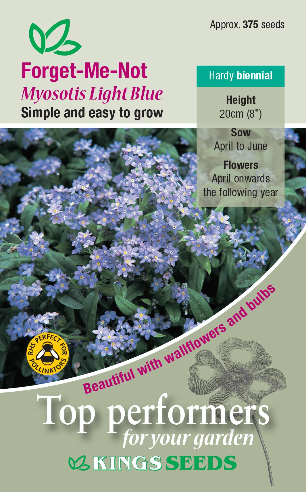 Forget Me Not Light Blue by Kings Seeds. - Mill Race Garden Centre