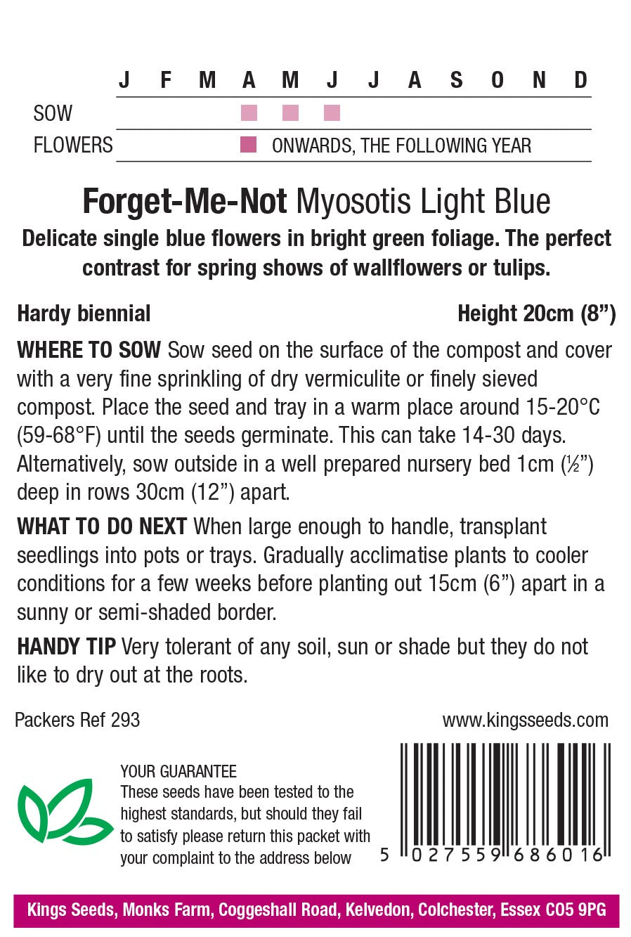 Forget Me Not Light Blue by Kings Seeds. - Mill Race Garden Centre