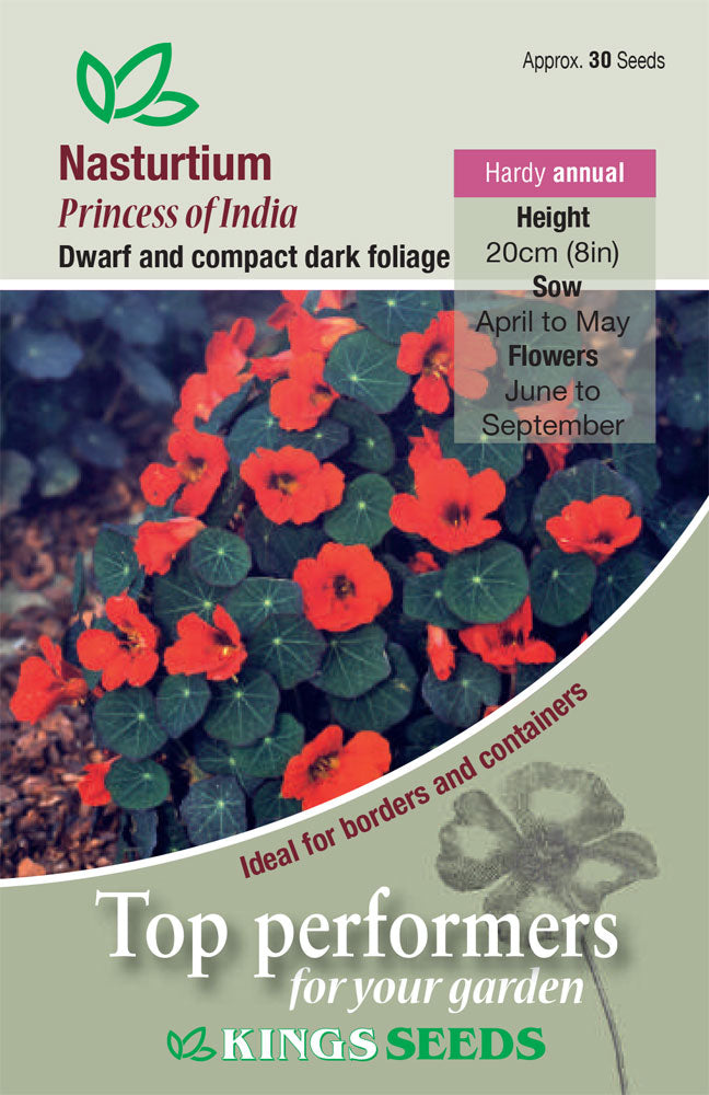 Nasturtium Princess Of India by Kings Seeds - Mill Race Garden Centre