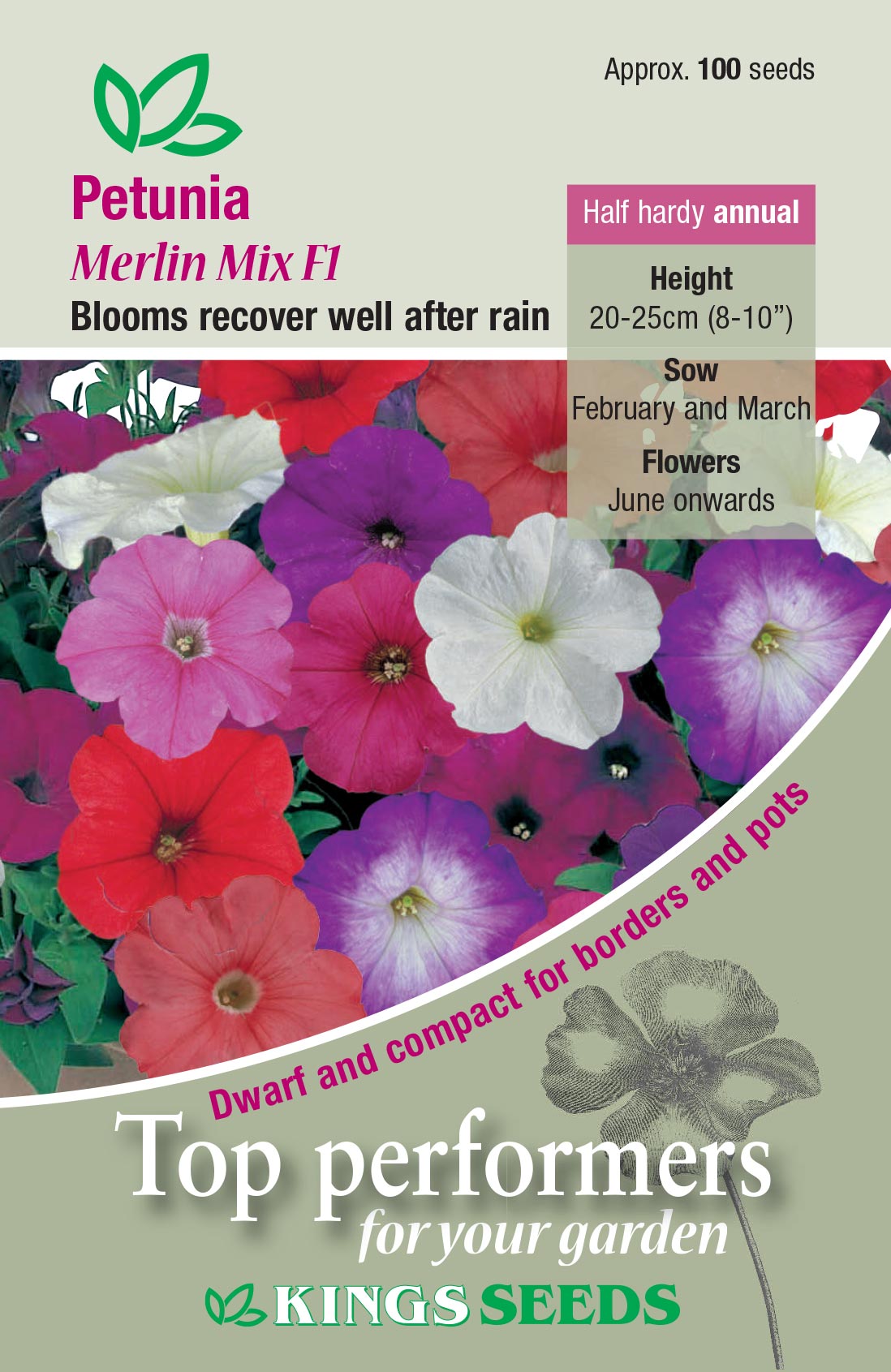 Petunia Merlin Mixed F1 - Mill Race Garden Centre