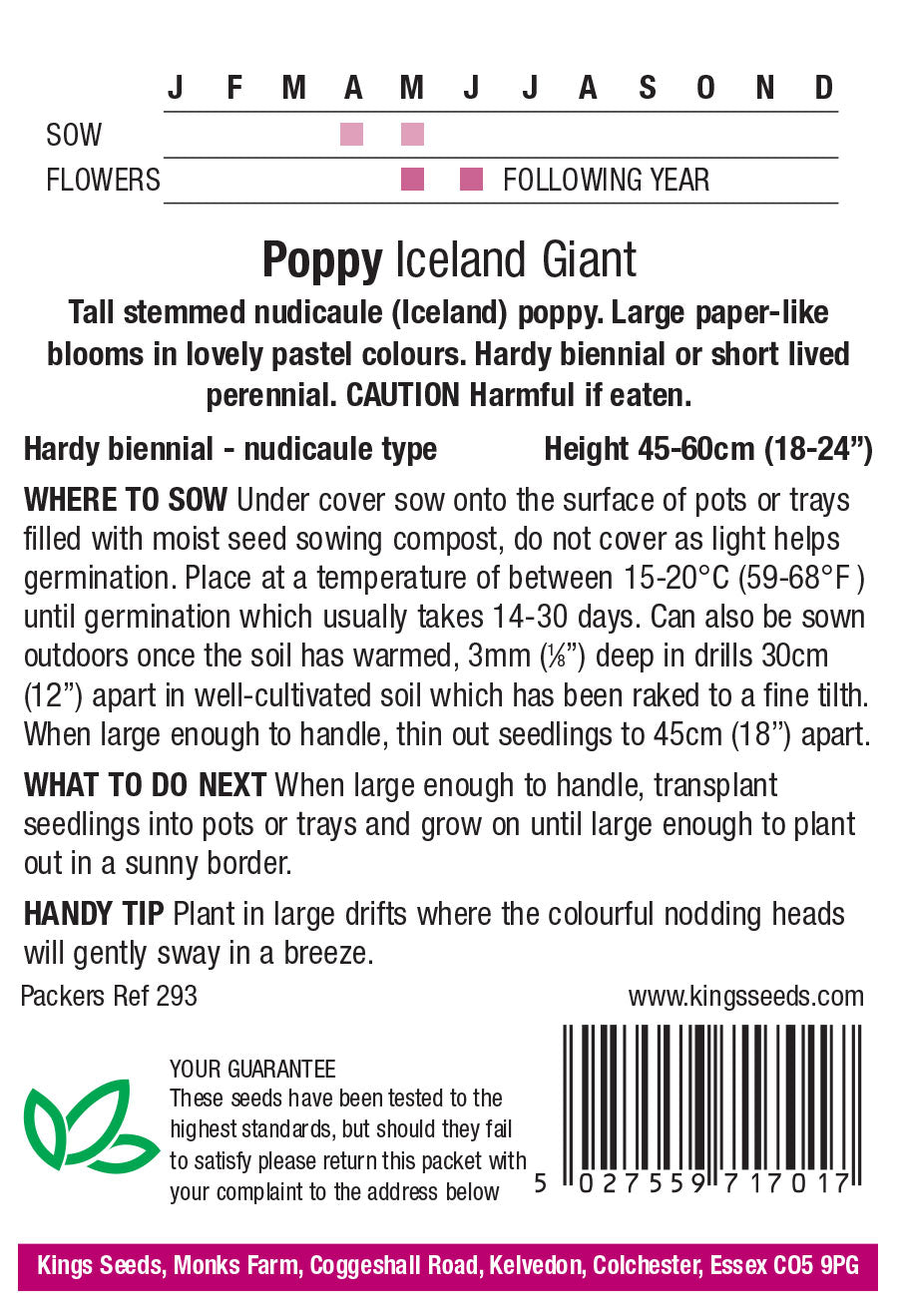 Poppy Iceland Giant by Kings Seeds - Mill Race Garden Centre