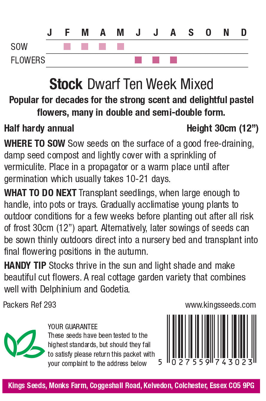 Stock Ten Week Dwarf Mixed - Mill Race Garden Centre