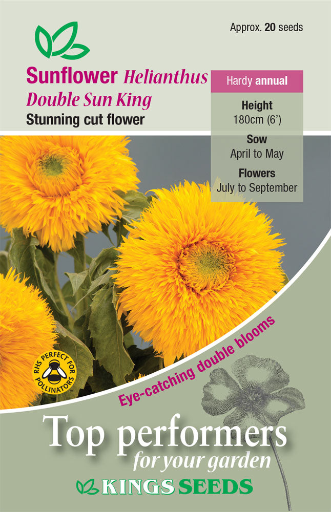 Sunflower Double Sun King by Kings Seeds - Mill Race Garden Centre