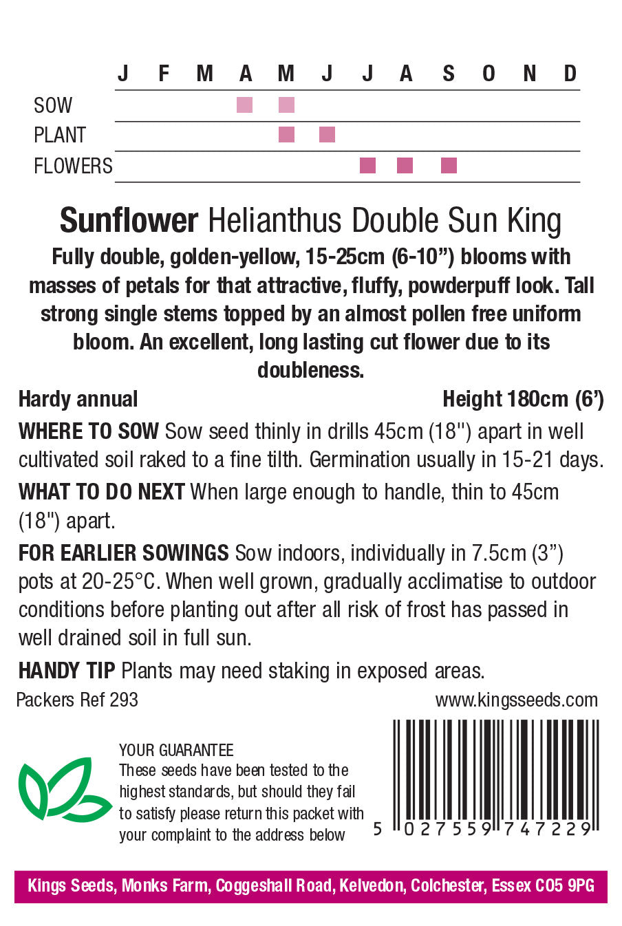 Sunflower Double Sun King by Kings Seeds - Mill Race Garden Centre