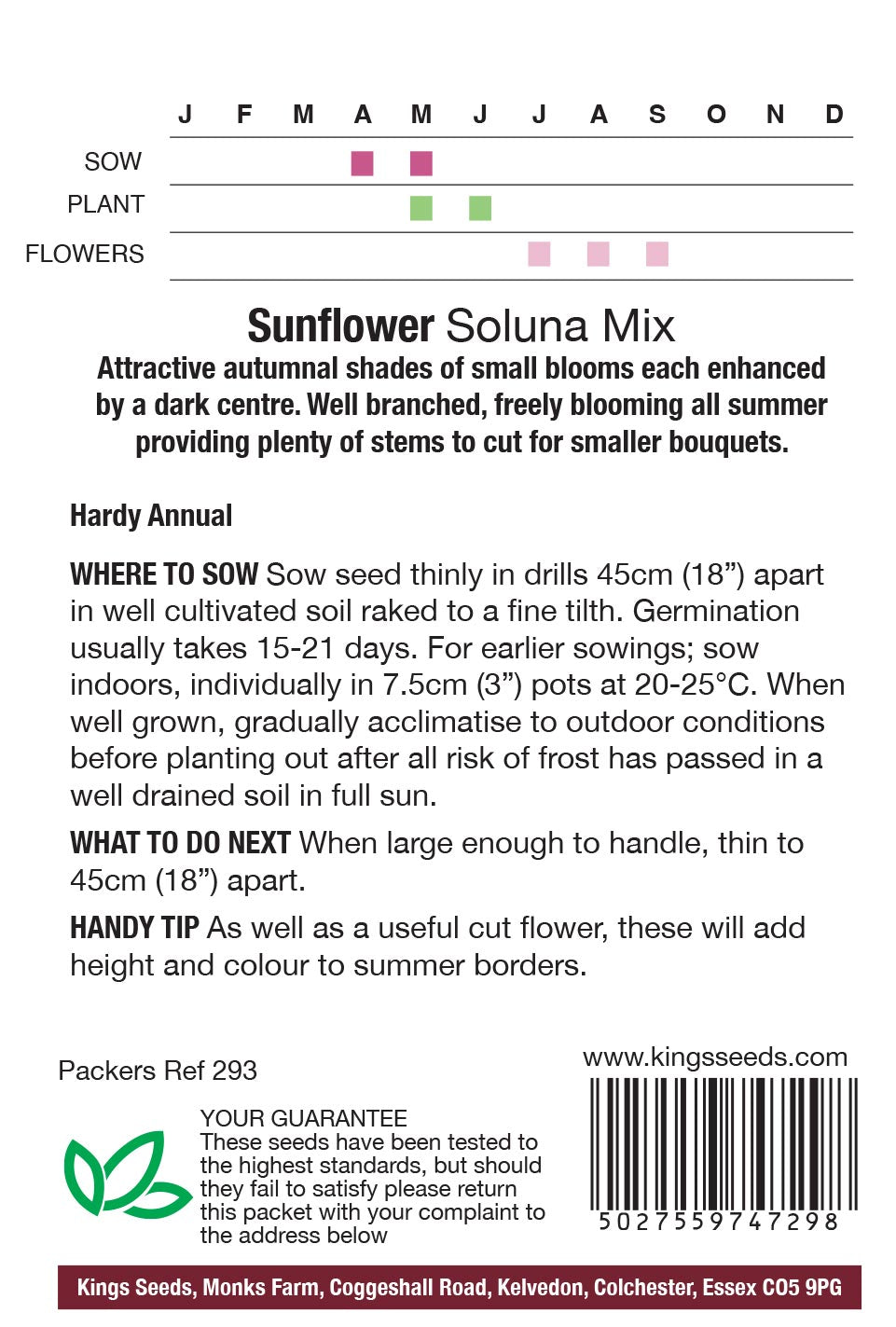 Sunflower Soluna Mix by Kings Seeds - Mill Race Garden Centre