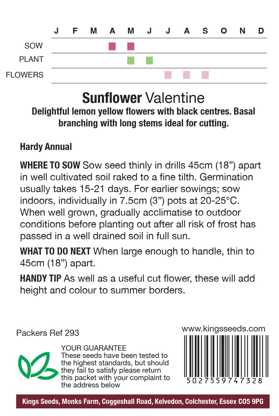 Sunflower Valentine by Kings Seeds - Mill Race Garden Centre