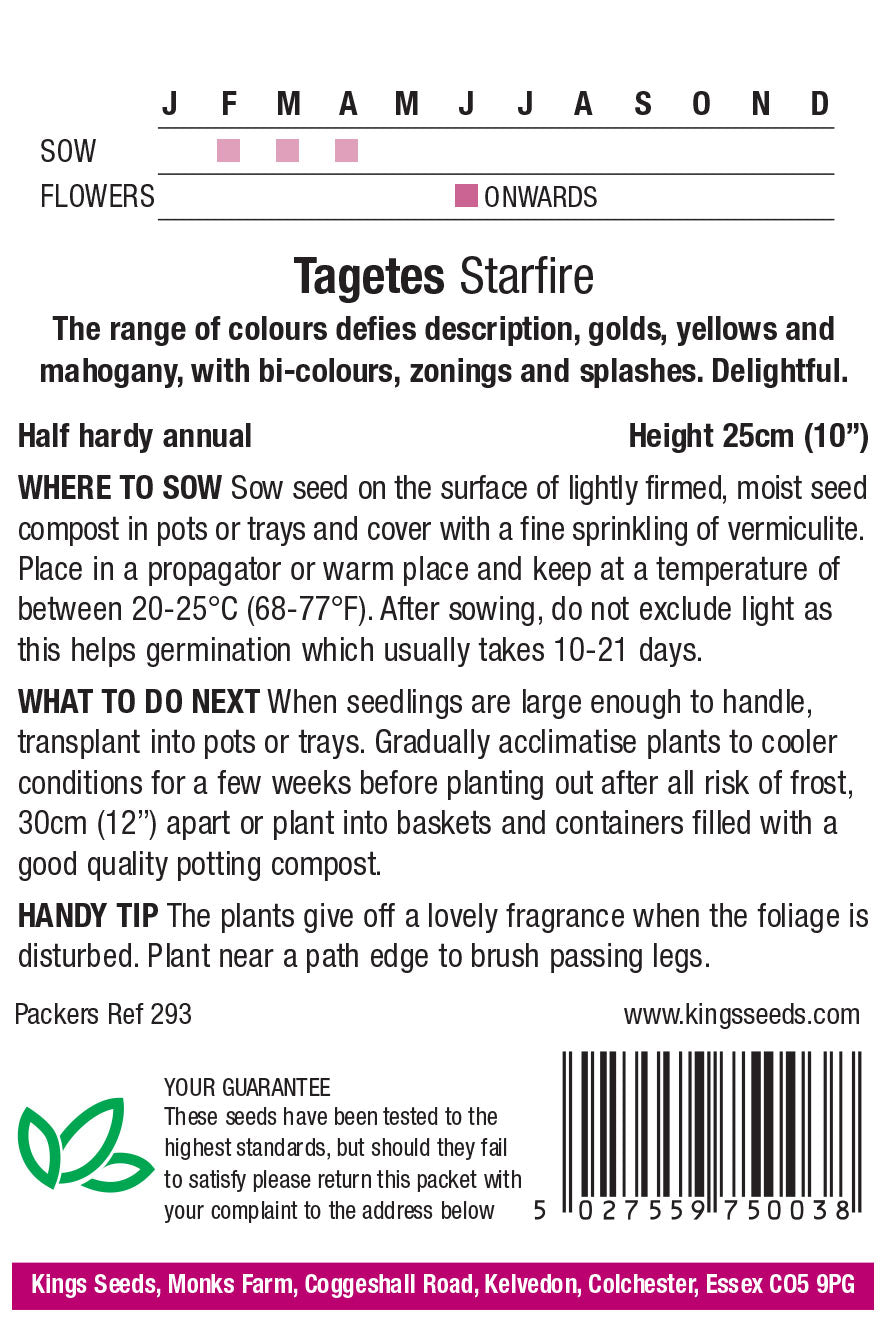 Tagetes Starfire by Kings Seeds - Mill Race Garden Centre