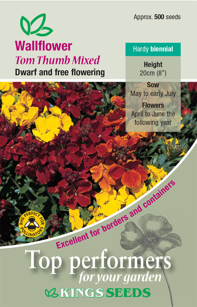 WALLFLOWER TOM THUMB MIXED - Mill Race Garden Centre