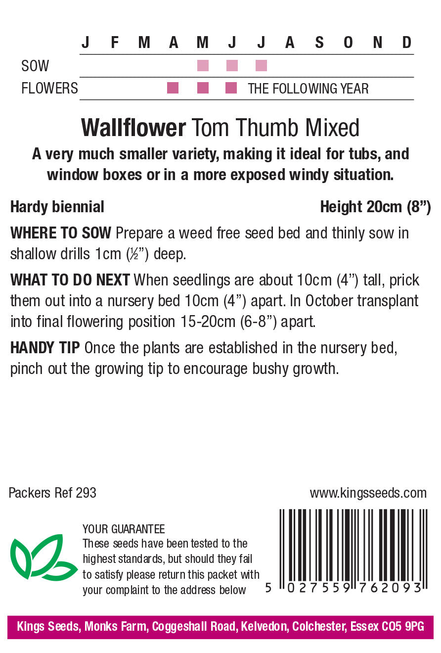 WALLFLOWER TOM THUMB MIXED - Mill Race Garden Centre