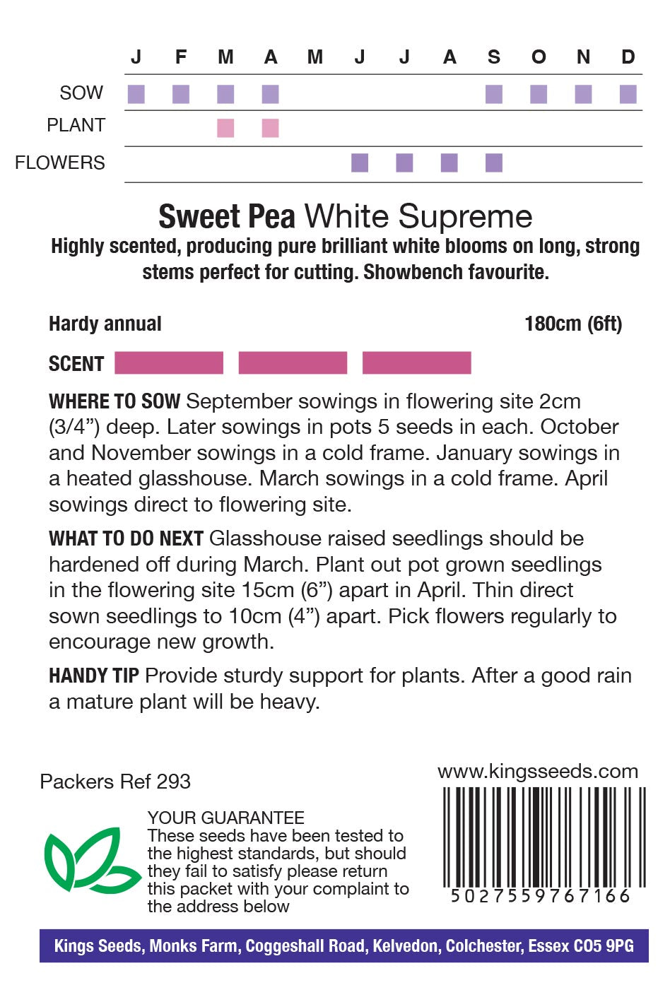 Sweet Pea White Supreme by Kings Seeds - Mill Race Garden Centre