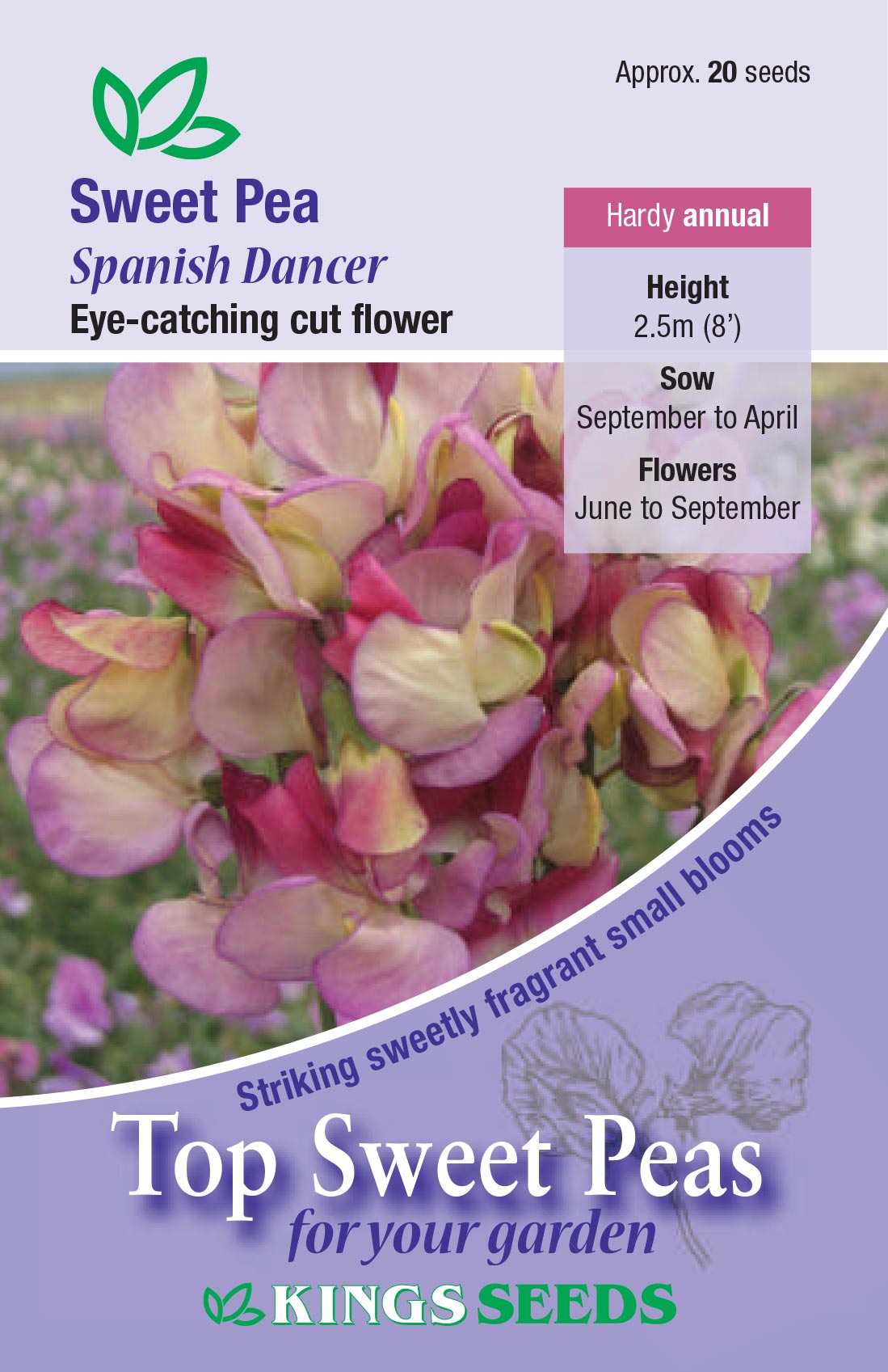 Sweet Pea Spanish Dancer by Kings Seeds - Mill Race Garden Centre