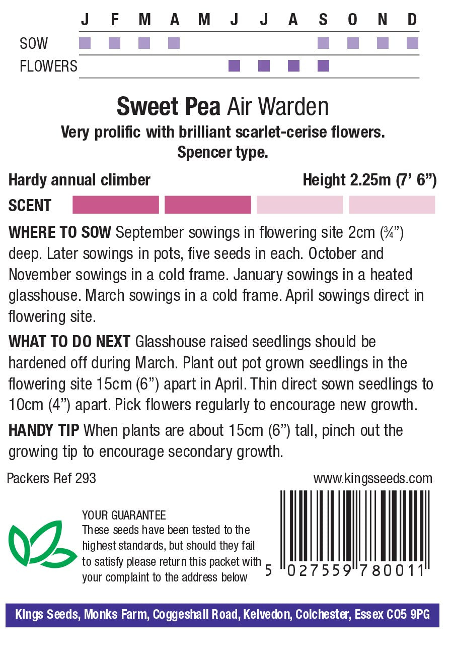 King Seeds Sweet Pea Air Warden - Mill Race Garden Centre