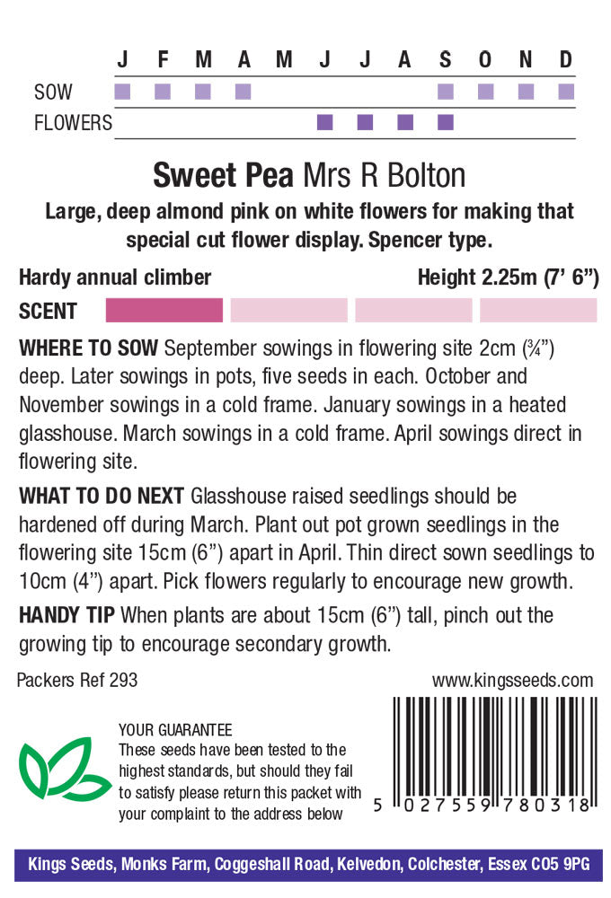 Sweet Pea Mrs Bolton - Mill Race Garden Centre