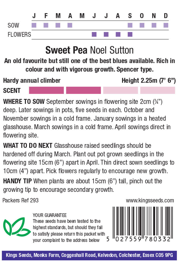 King Seeds Sweet Pea Noel Sutton - Mill Race Garden Centre