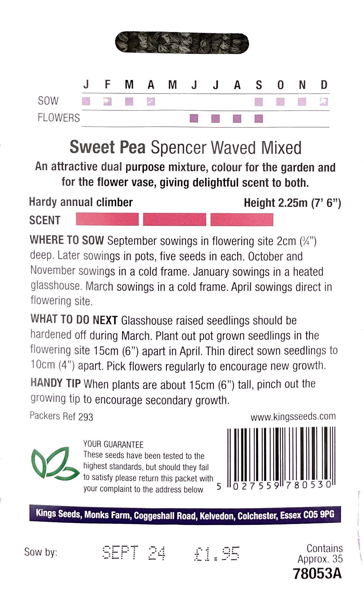 Sweet Pea Kings Spencer Waved - Mill Race Garden Centre