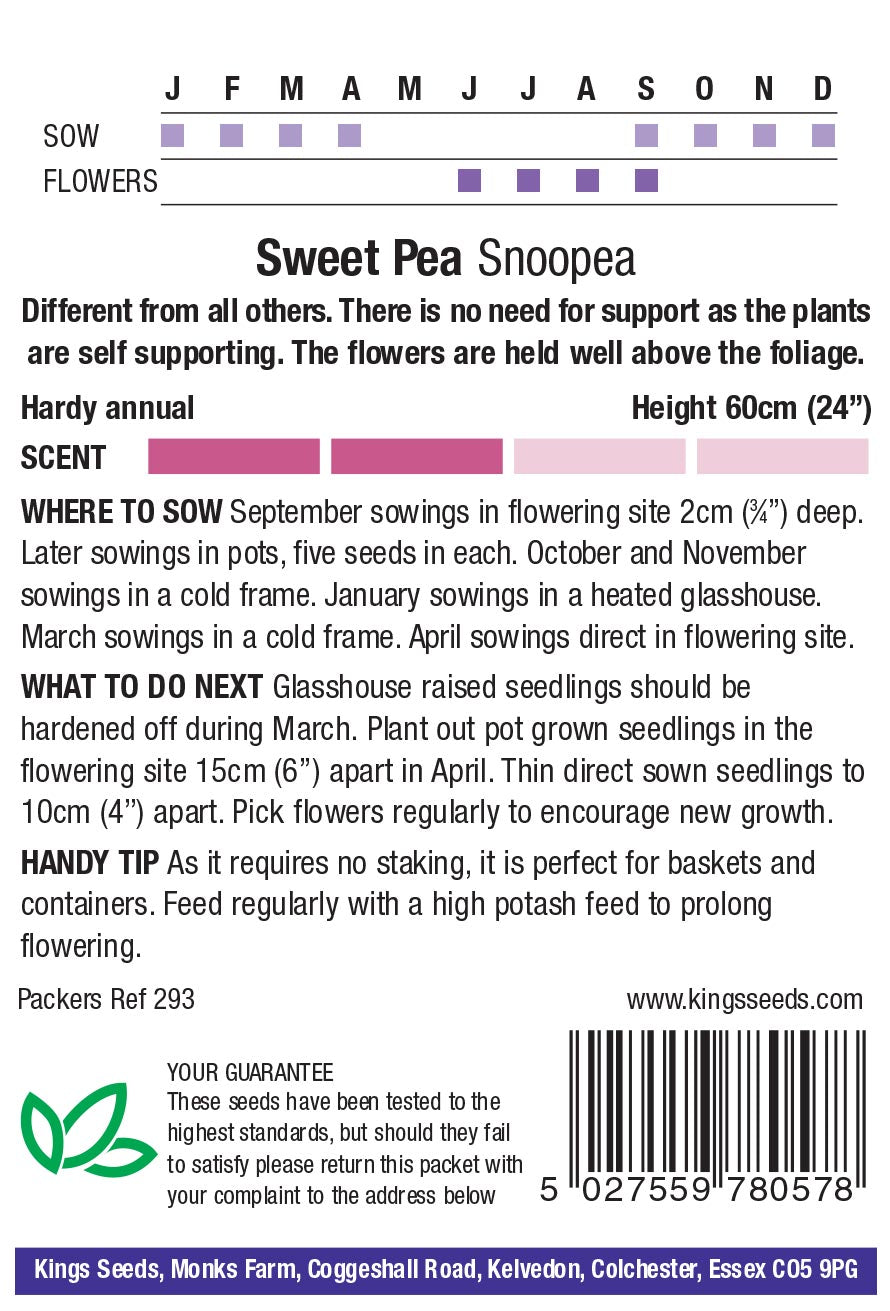 Sweet Pea Snoopea by Kings Seeds - Mill Race Garden Centre